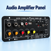 D10 Bluetooth Digital Audio Amplifier – 120W, FM Radio, USB/TF Playback & Dual Microphone Input