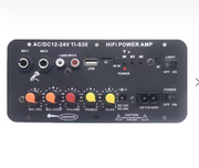D10 Bluetooth Digital Audio Amplifier – 120W, FM Radio, USB/TF Playback & Dual Microphone Input